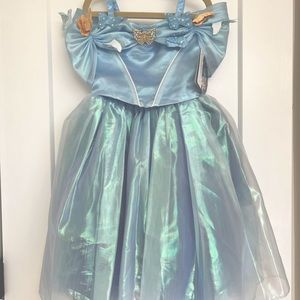 Disney Store Deluxe Live Action Cinderella Costume